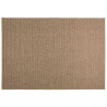Dywany pokojowe AGIRA Naturalny 340 x 240 cm Poliester