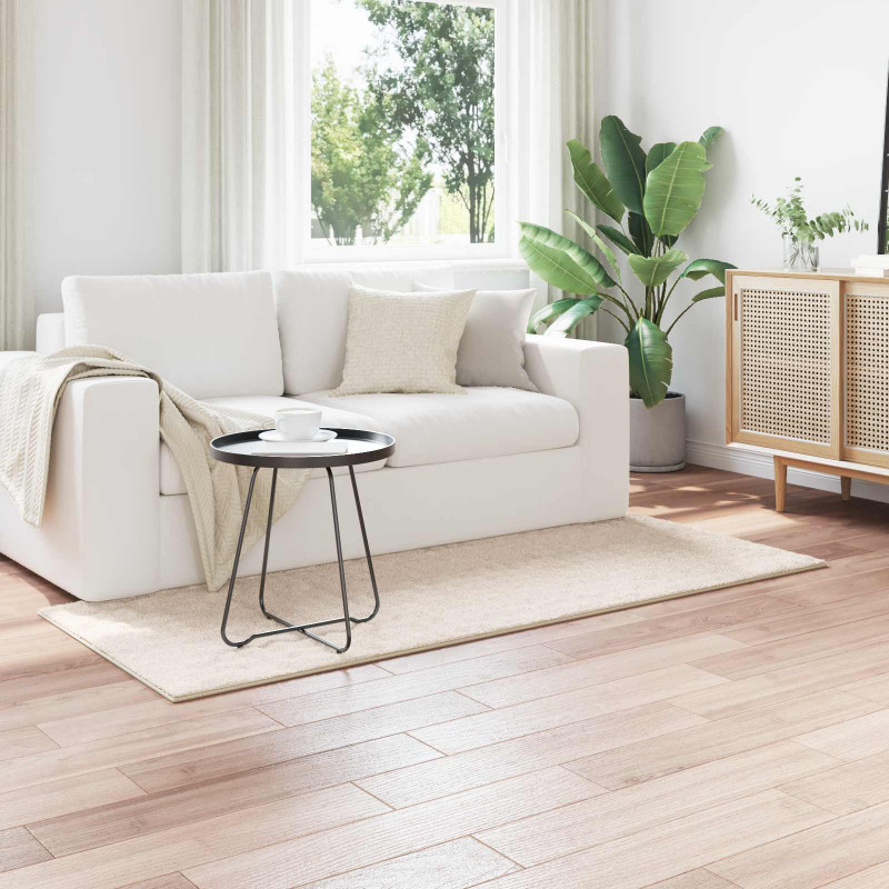 Dywany pokojowe Prostokątny SIROLO Beżowy 150 x 80 cm Poliester