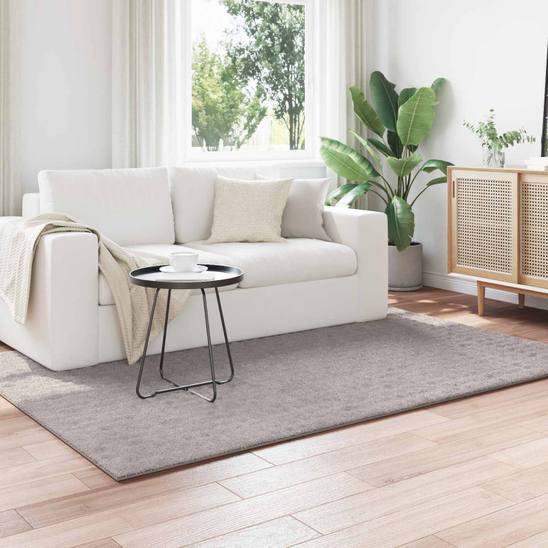 Dywany pokojowe SIROLO piaskowy 170 x 120 cm Poliester