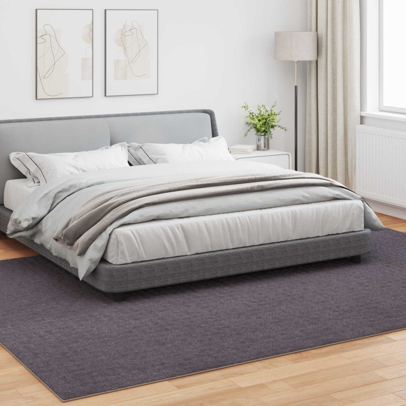 Dywany pokojowe SIROLO Antracyt 340 x 240 cm Poliester