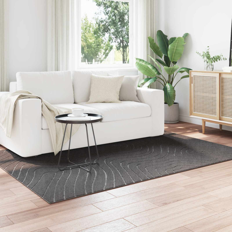 Dywany pokojowe PALMERAS Antracyt 200 x 140 cm Poliester