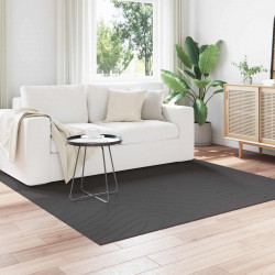 Dywany pokojowe Kwadrat PALMERAS Antracyt 200 x 200 cm