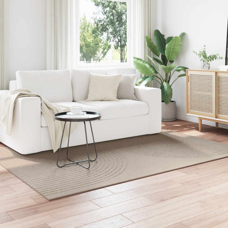 Dywany pokojowe Prostokątny GALATI Beżowy 230 x 160 cm