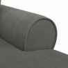 Chaise Lounge z Fartuszkiem z poduszką 3 pcs Ciemnoszary