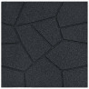 Kamień kroczący 6 pcs Czarny 40,5 x 40,5 x 2 cm Guma