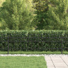 Ogrodzenie Ring Tilburg Czarny 200 x 130 cm