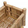 Doniczka ogrodowa z uchwytem Naturalny 50 x 38 x 114 cm Bambus