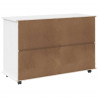 Rolkowa szafka Biały 100 x 39 x 65,5 cm Lite drewno sosnowe