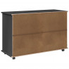 Rolkowa szafka Szary 100 x 39 x 65,5 cm Lite drewno sosnowe