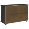 Rolkowa szafka Czarny 100 x 39 x 65,5 cm Lite drewno sosnowe