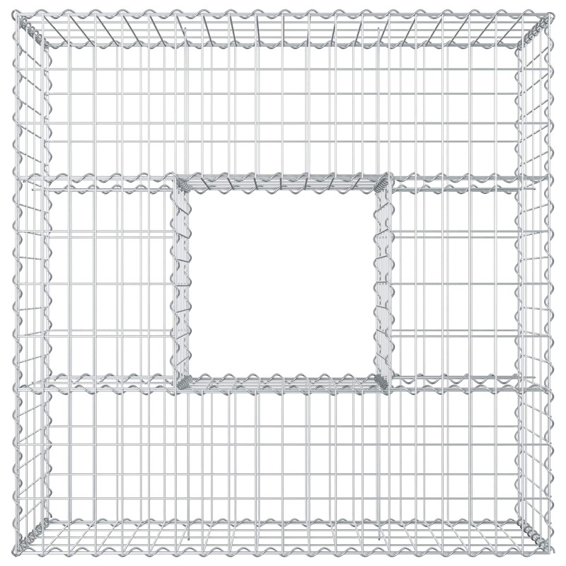 Podniesione łóżko gabionowe Srebrny 100 x 100 x 40 cm
