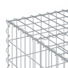 Podniesione łóżko gabionowe Srebrny 100 x 100 x 40 cm