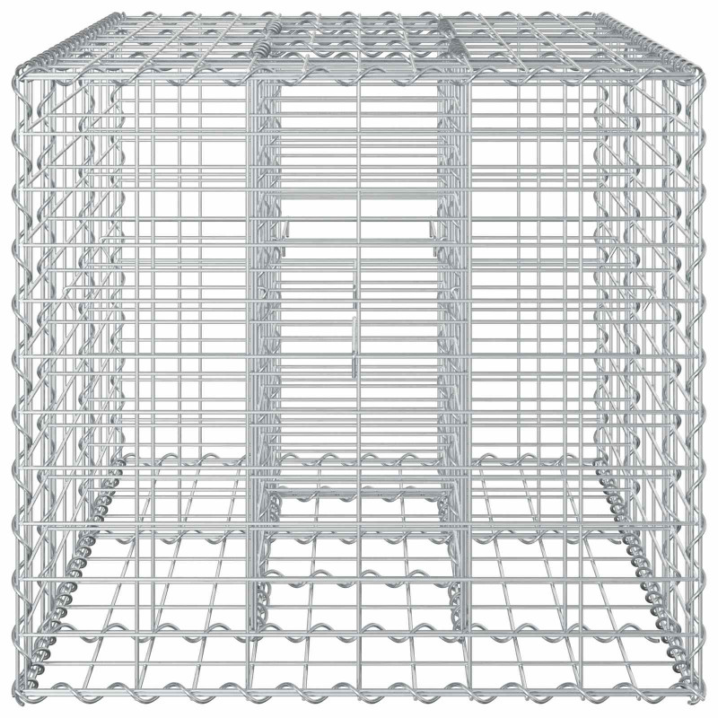 Podniesione łóżko gabionowe Srebrny 100 x 60 x 55 cm