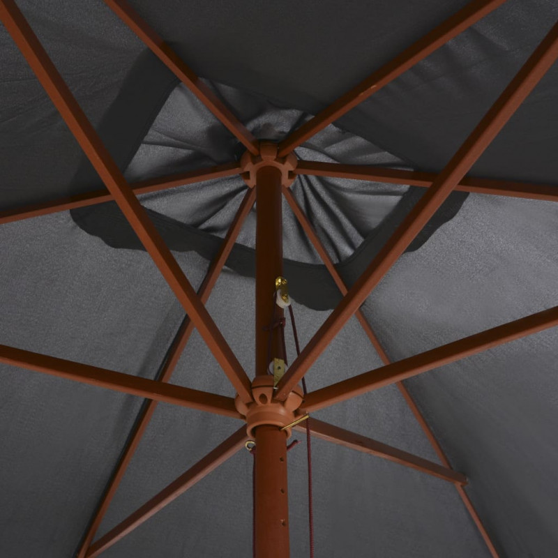 Parasol ogrodowy na drewnianym słupku, 200x300 cm, antracytowy