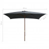 Parasol ogrodowy na drewnianym słupku, 200x300 cm, antracytowy