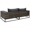 2-częściowa sofa do ogrodu, z poduszkami, polirattan, szara