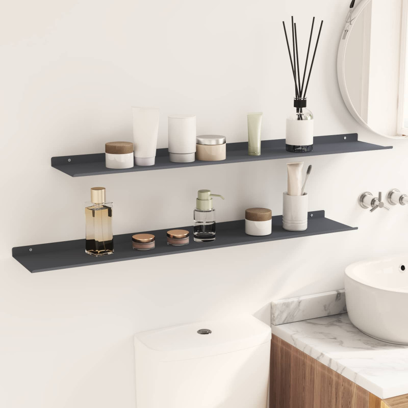 Półka wisząca 2 pcs Antracyt 100 x 18 x 2,5 cm Stal