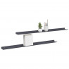 Półka wisząca 2 pcs Antracyt 100 x 9 x 2,5 cm Stal