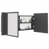 Szafka łazienkowa z lustrem i LED, szara, 100x12x45 cm, akryl