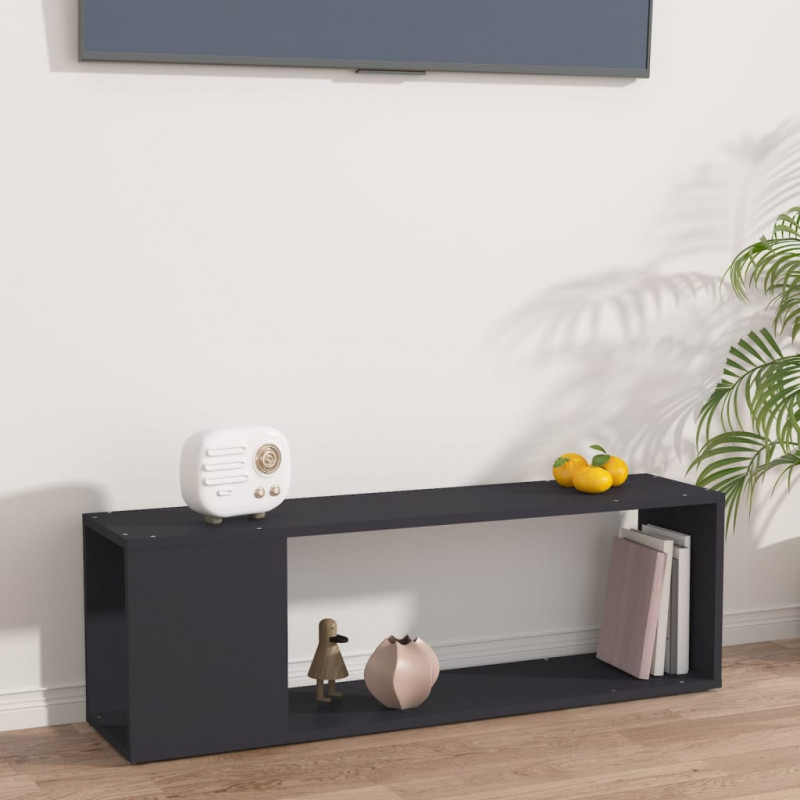 Szafka pod TV, szara, 100x24x32 cm, materiał drewnopochodny
