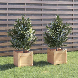 Skrzynie ogrodowe, 2 szt., 31x31x31 cm, lite drewno sosnowe