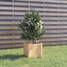 Skrzynie ogrodowe, 2 szt., 31x31x31 cm, lite drewno sosnowe