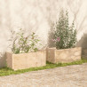 Donice ogrodowe, 2 szt., 100x50x50 cm, lite drewno sosnowe