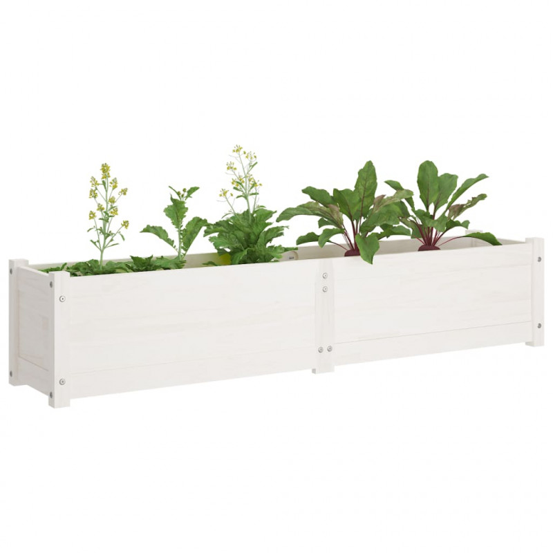 Podwyższone donice ogrodowe, 2 szt., 150x31x31 cm, biała sosna