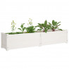 Podwyższone donice ogrodowe, 2 szt., 150x31x31 cm, biała sosna