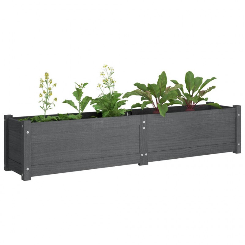 Podwyższone donice ogrodowe, 2 szt., 150x31x31 cm, szara sosna