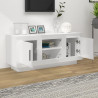 Szafka pod TV, wysoki połysk, biała, 102x35x45 cm