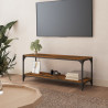 Szafka pod telewizor, przydymiony dąb, 100x33x41 cm