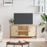 Szafka pod telewizor, dąb sonoma, 100x40x50 cm