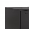 Szafka RTV, czarna, 100,5x39x43,5 cm, stal