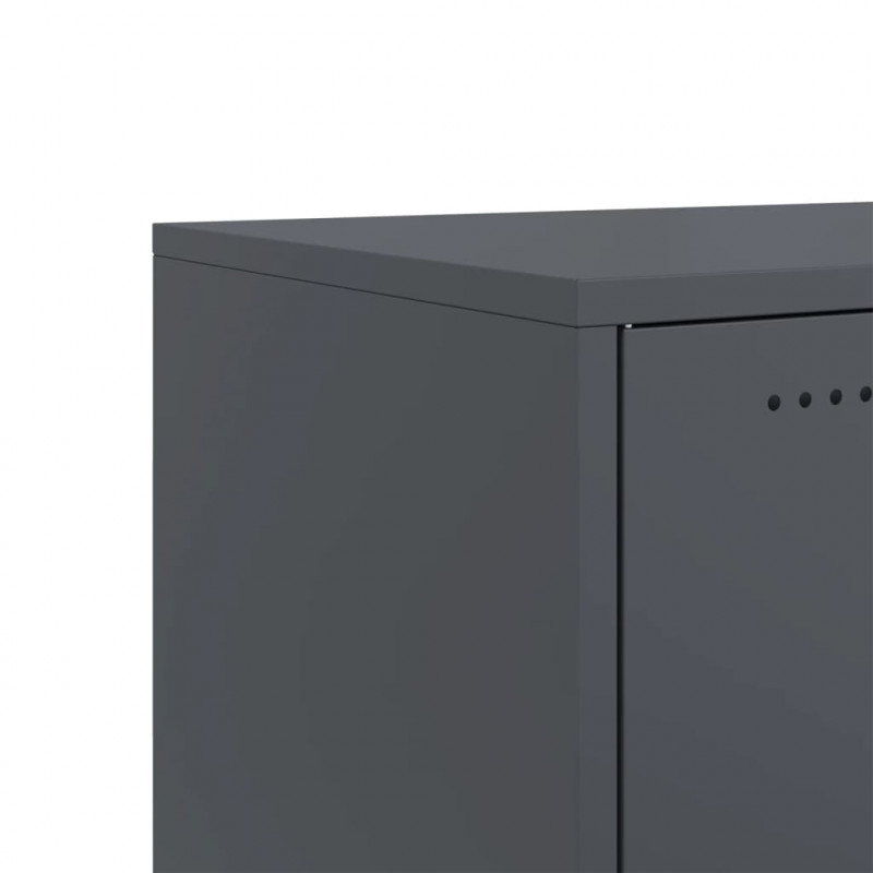 Szafka RTV, antracytowa, 100,5x39x43,5 cm, stal