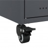 Szafka RTV, antracytowa, 100,5x39x43,5 cm, stal