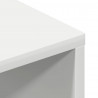 Szafka pod TV, biała, 100 x 40 x 40 cm, płyta wiórowa