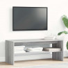 Szafka pod telewizor, szary dąb sonoma, 100x40x40 cm