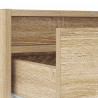 Szafka pod TV z oświetleniem LED, dąb sonoma, 100x35,5x25 cm