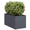 Doniczka Antracyt 40x80x40 cm Stal walcowana na zimno