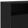 Szafka pod TV z oświetleniem LED, czarny dąb, 120x30x50 cm