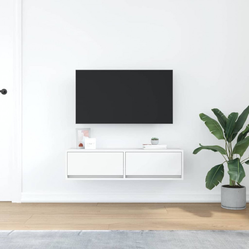 Szafka pod telewizor z szufladą Biały 100 x 31 x 25.5 cm