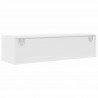 Szafka pod telewizor z szufladą Biały 100 x 31 x 25.5 cm