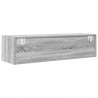 Szafka pod telewizor Szary dąb sonoma 100 x 31 x 25.5 cm