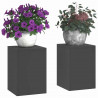 Stojak na rośliny 2 pcs Czarny 24 x 24 x 35 cm Stal