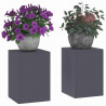 Stojak na rośliny 2 pcs Antracyt 24 x 24 x 35 cm Stal
