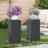 Stojak na rośliny 2 pcs Czarny 24 x 24 x 55 cm Stal
