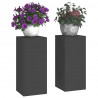 Stojak na rośliny 2 pcs Czarny 24 x 24 x 55 cm Stal