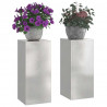 Stojak na rośliny 2 pcs Srebrny 24 x 24 x 55 cm stal nierdzewna