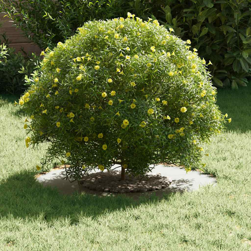 odpowiedni dla płaskich pierścieni drzewa 5 pcs Biały Ø30 / 60 cm